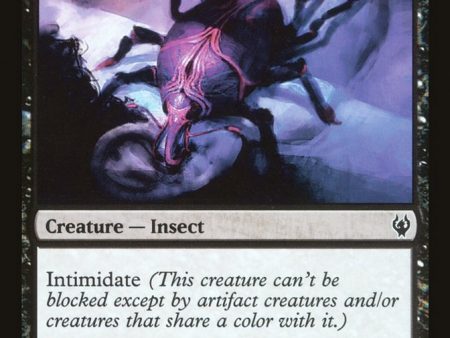 Brain Weevil [Duel Decks: Izzet vs. Golgari] Cheap