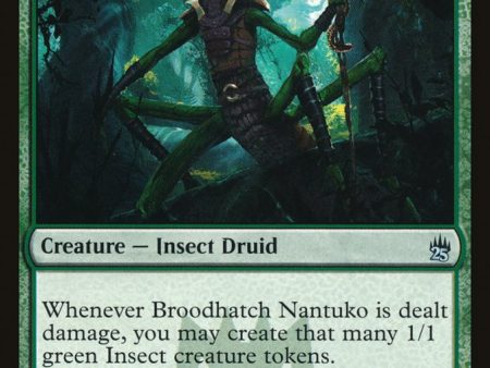 Broodhatch Nantuko [Masters 25] Cheap