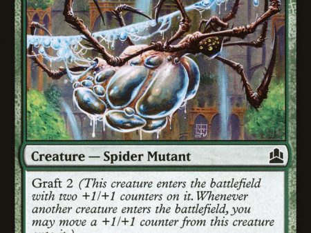 Aquastrand Spider [Commander 2011] Supply