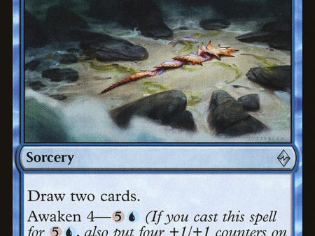 Coastal Discovery [Battle for Zendikar] Online Sale