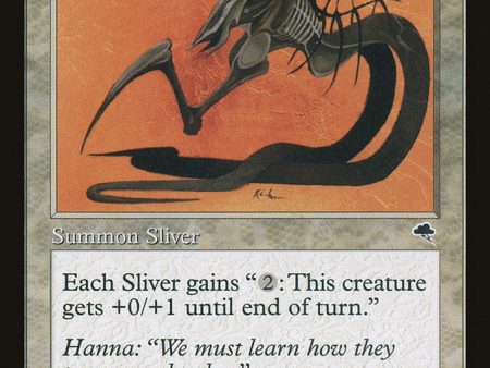 Armor Sliver [Tempest] on Sale