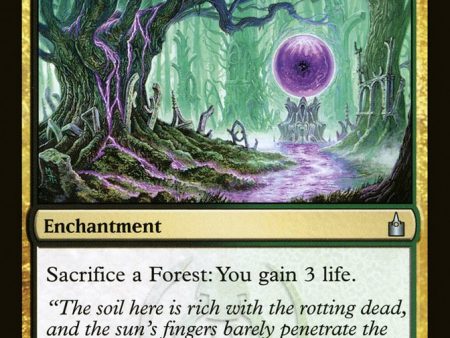 Dark Heart of the Wood [Ravnica: City of Guilds] Supply