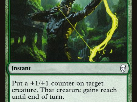 Arbor Armament [Dominaria] on Sale