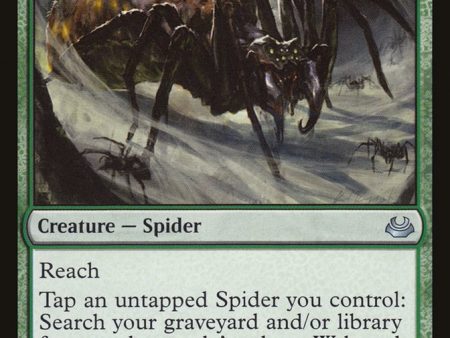 Arachnus Spinner [Modern Masters 2017] Online