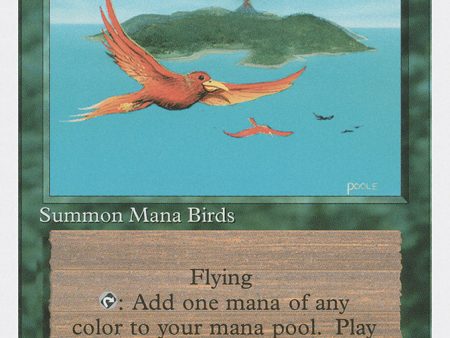 Birds of Paradise [Fourth Edition] Hot on Sale