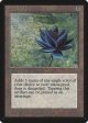 Black Lotus [Beta Edition] For Discount