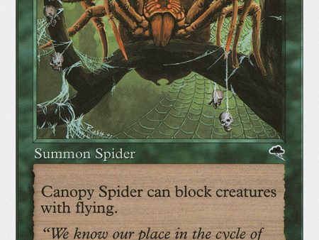 Canopy Spider [Anthologies] Online Sale