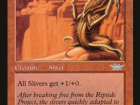 Blade Sliver [Legions] For Discount